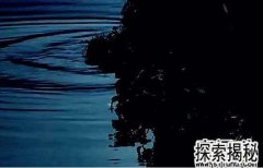 �㶫ˮ��ץ��һֻŮ�����㶫ˮ��ץ��Ů��