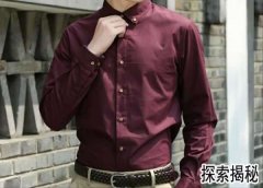 ������鱫��Ŀǰ��Ϊ��ϸ��������鱫��������