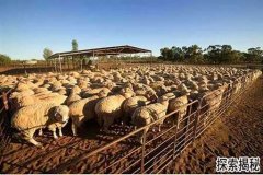 �Ĵ������ز����Ĵ����ǵ��ز���ʲô