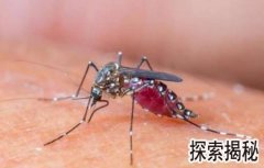 ˯�������ӵ���ð취