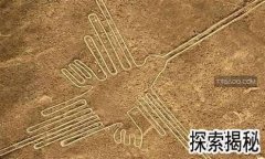 ��³��˹���ߣ���³�ġ���˹���������ľ�������λ��