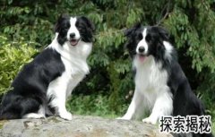 ��������������������������