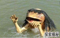 ��ͯͼƬ����ͯ������ʲô