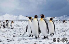 �ϼ����ģ��ϼ�����?