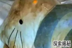 èʬHelloKittyʬ