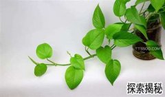 ������ô�����ܸ���ʢ��������ô�����ܸ���ʢ���콽һ��ˮ