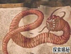 ���ϲ����棬���ϲ�������ʲô