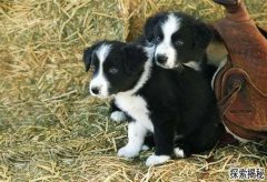 Ȯ����������������������