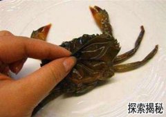 �з�ѿǣ��зΪʲô���ѿ�