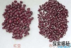 ��С���Ǻ춹�𣬳�С���Ǻ춹�𣿳�С���ͺ춹������