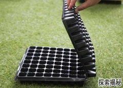 �����裬���������������