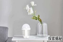 ���õ�Ʒ�ƣ�ʲô�������õƺ�