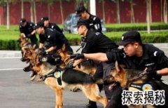 ��ȮƷ�֣���ȮƷ��