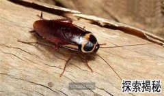 �����һ�����û��룬�����һ�����û��룿